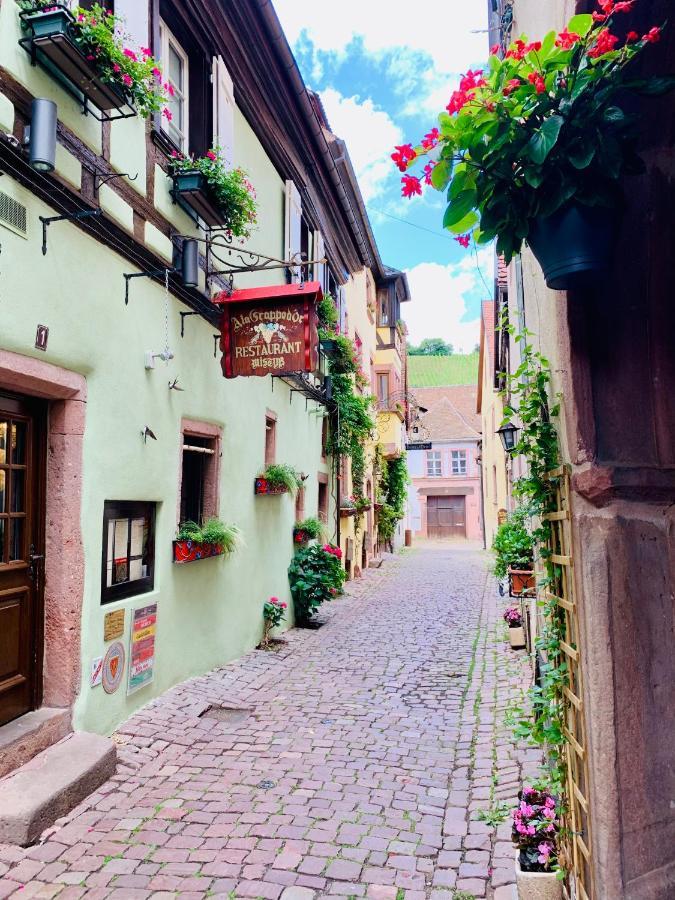 La Ruelle Alsacienne, Charme Alsacien Et Confort Moderne Riquewihr Exterior photo