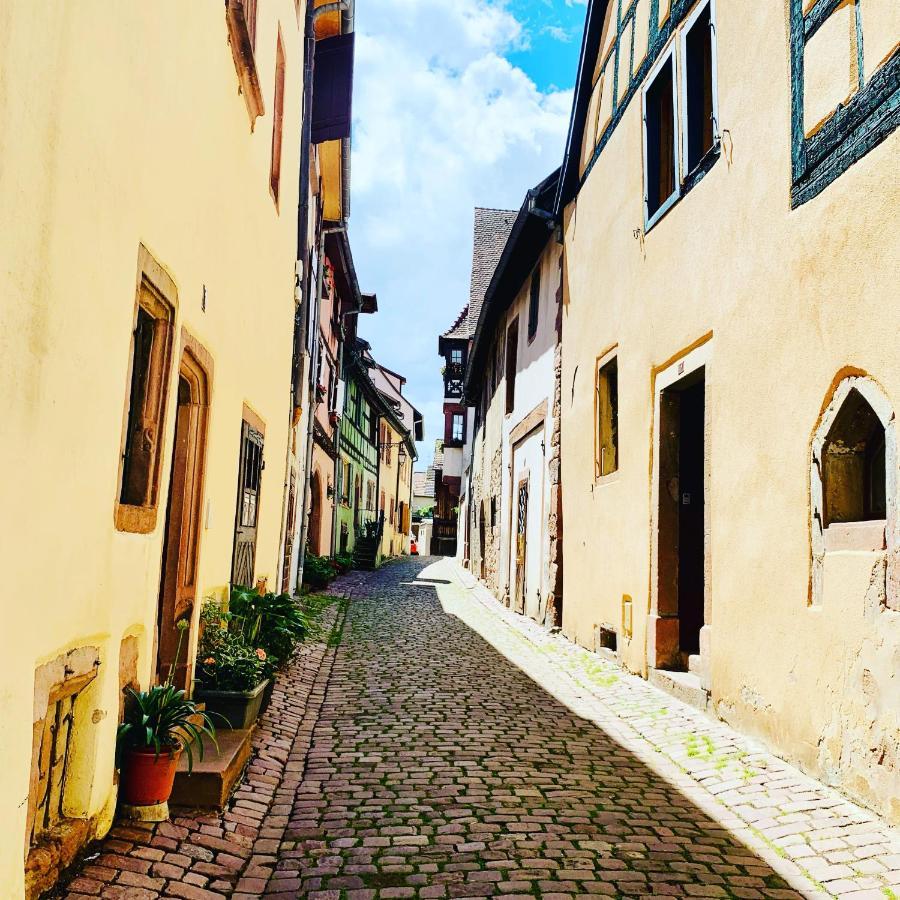 La Ruelle Alsacienne, Charme Alsacien Et Confort Moderne Riquewihr Exterior photo